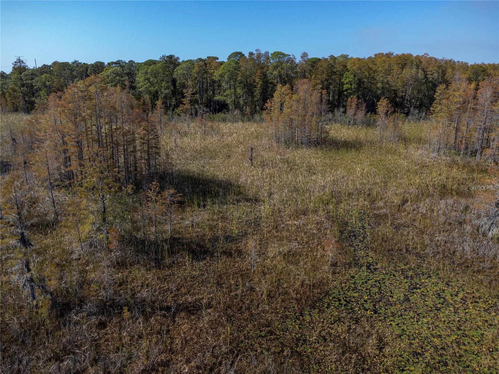 No Address Assigned Holiday FL 34691 W7883129 image6