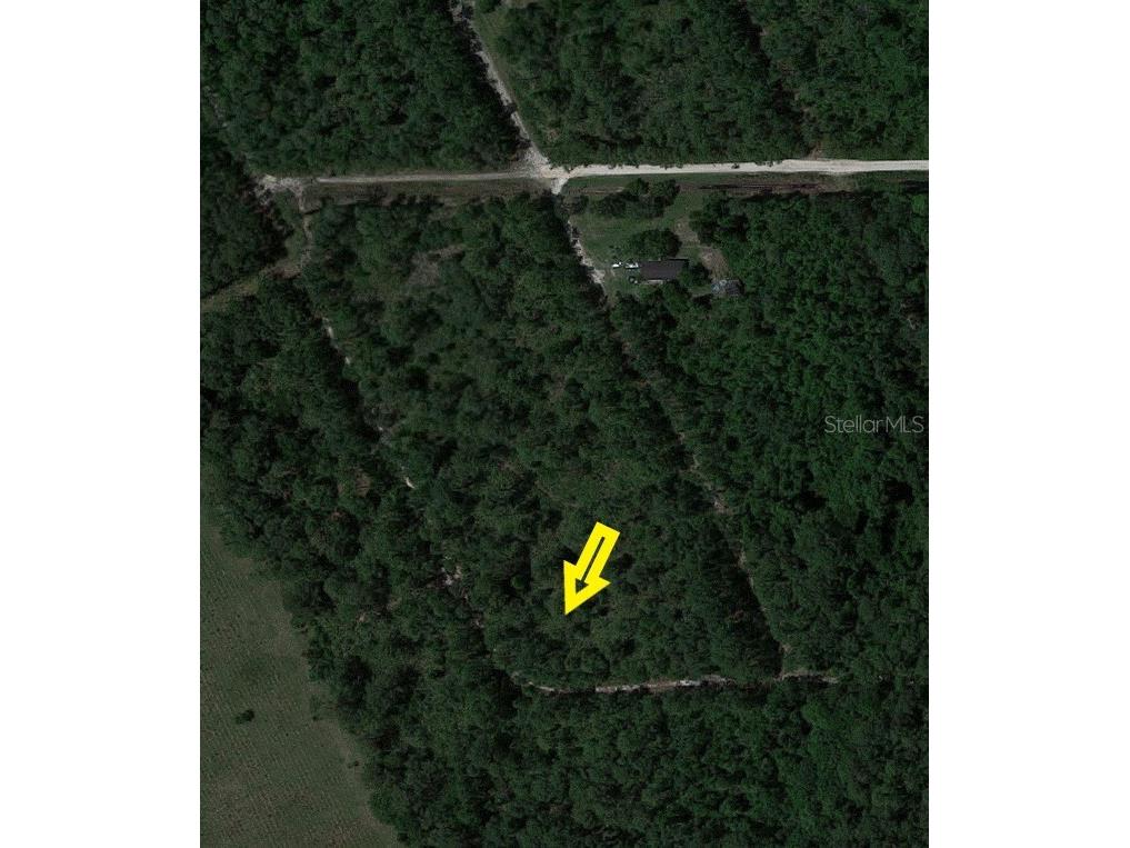 No Address Avail Satsuma FL 32189 A4583566 image1