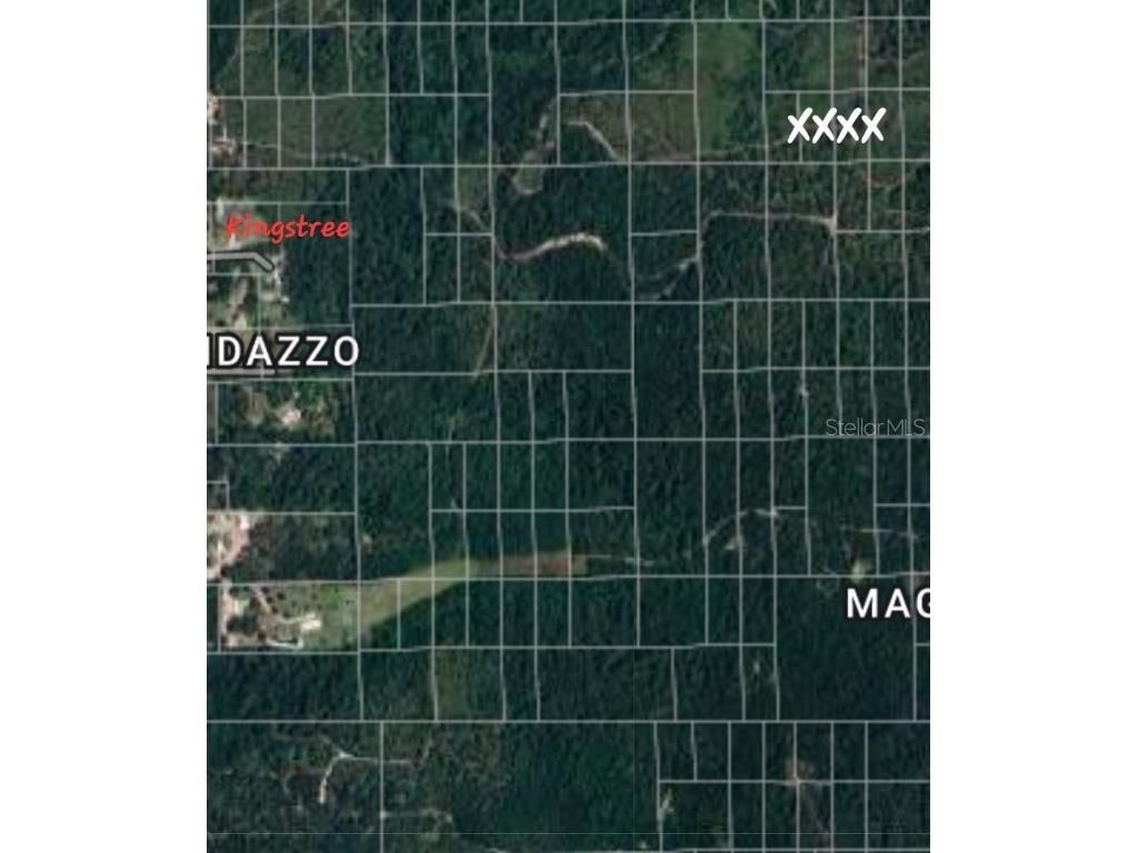 No Name Deland FL 32724 V4945045 image2