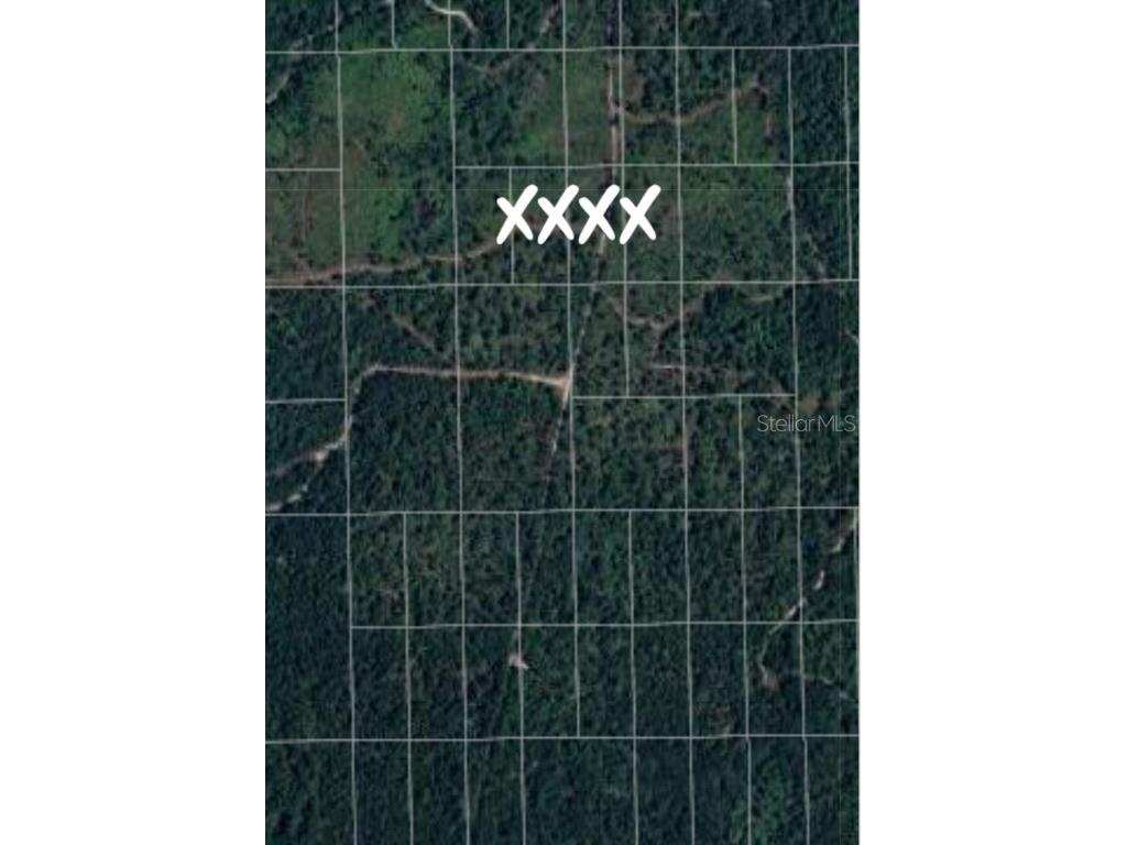 No Name Deland FL 32724 V4945045 image3