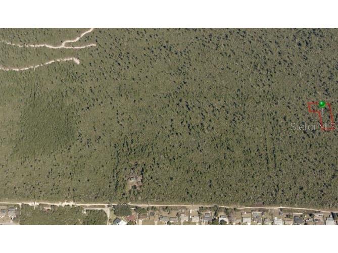 No Name Deltona FL 32725 T3518756 image1