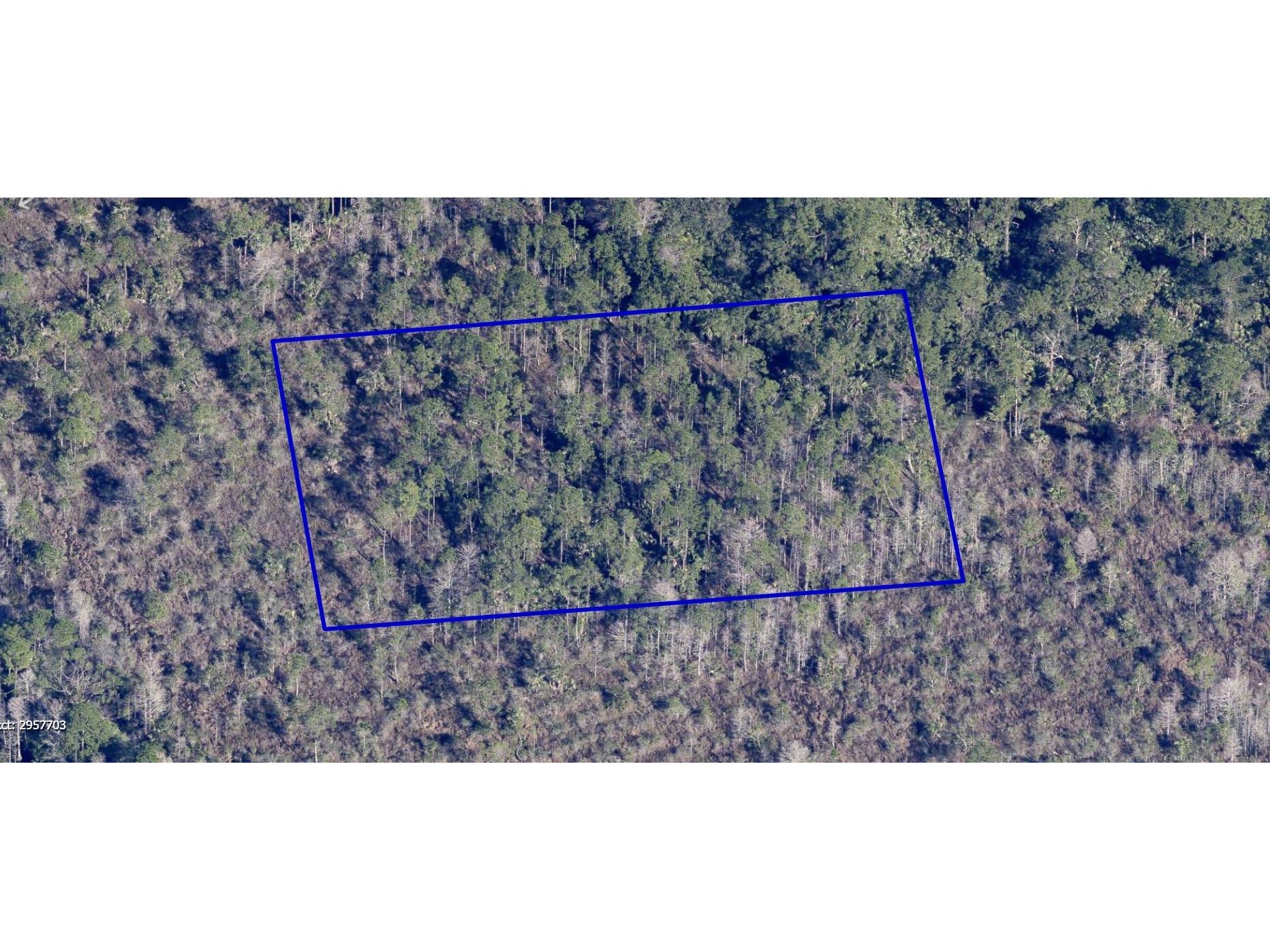 No Name Grant FL 32949 C7512191 image1