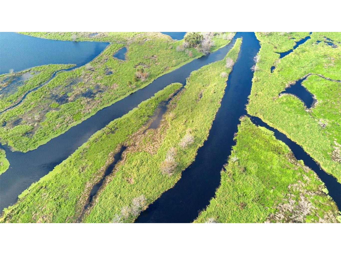 No Name Osteen FL 32764 O6366643 image16