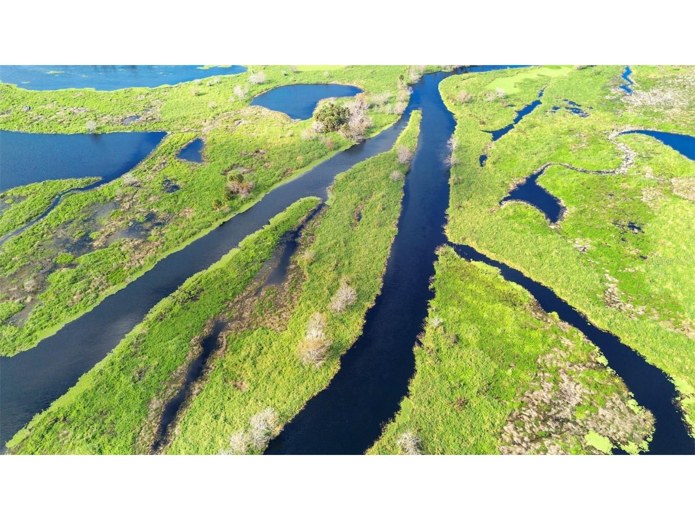 No Name Osteen FL 32764 O6366643 image17