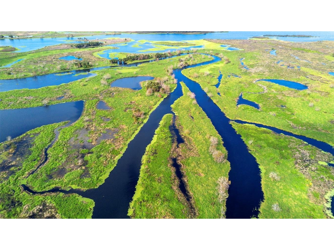 No Name Osteen FL 32764 O6366643 image19