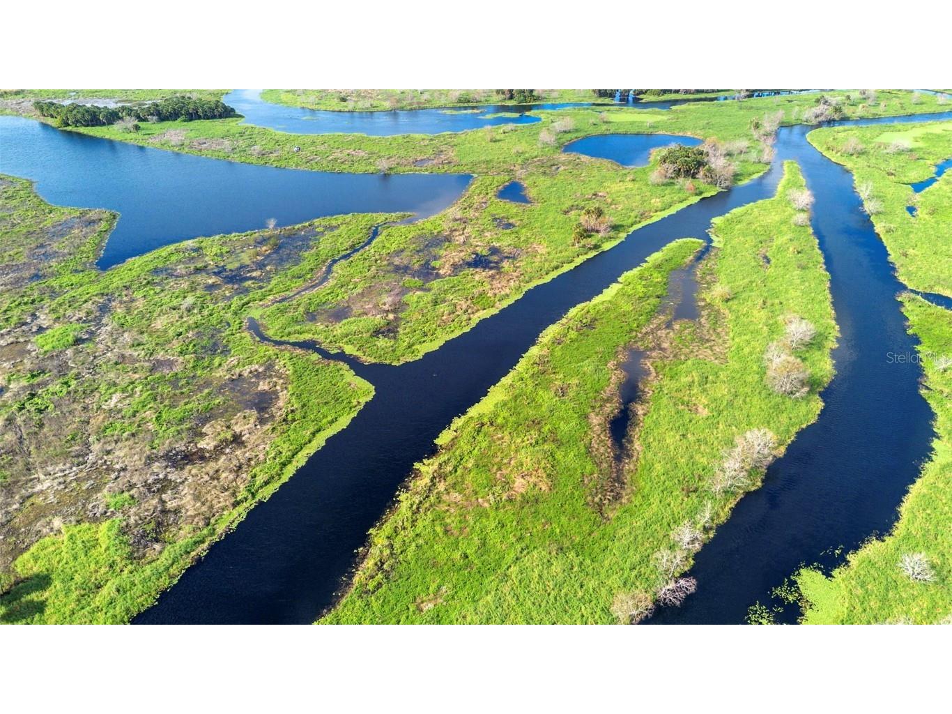 No Name Osteen FL 32764 O6366643 image20