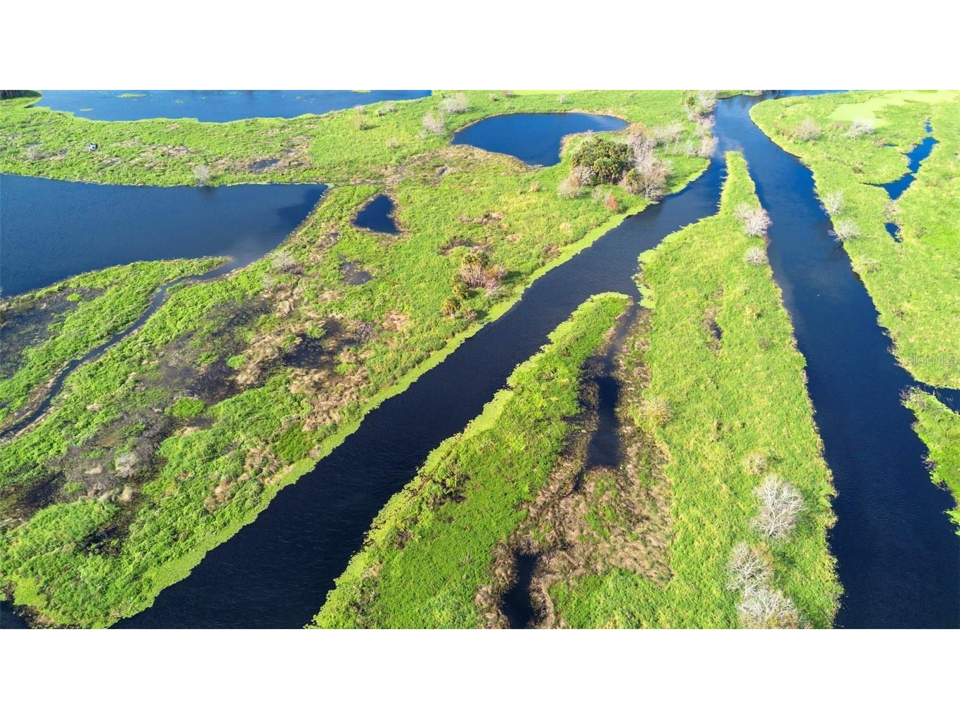 No Name Osteen FL 32764 O6366643 image21