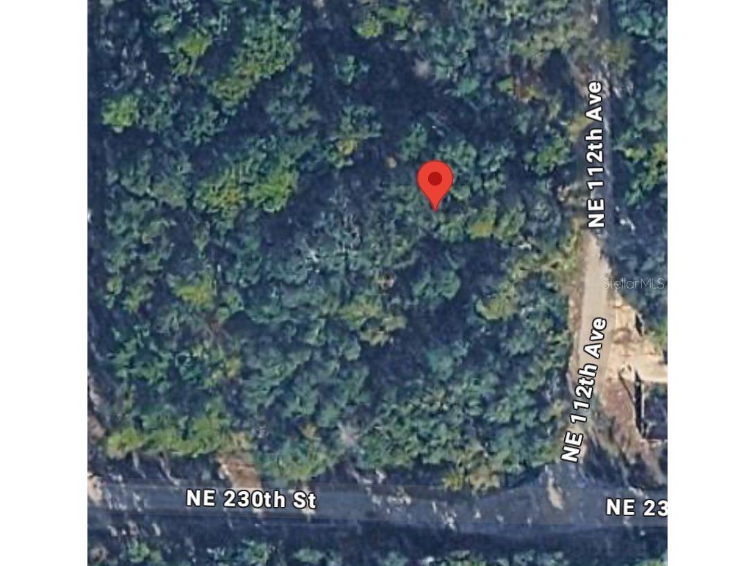 No Situs Fort Mc Coy FL 32134 O6406980 image3