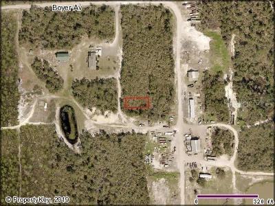 No Street De Leon Springs FL 32130 V4905671 image1