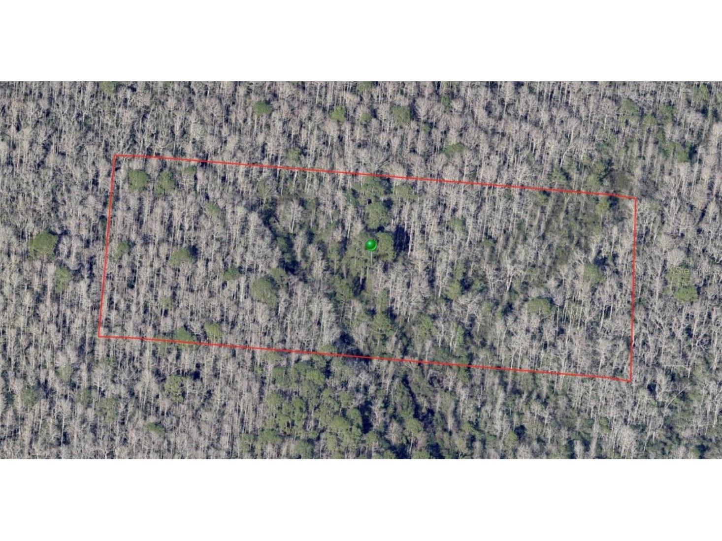 No Street De Leon Springs FL 32130 V4943223 image1