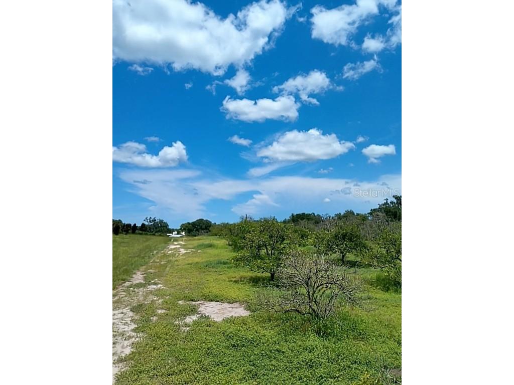 No Street De Leon Springs FL 32130 V4943422 image11