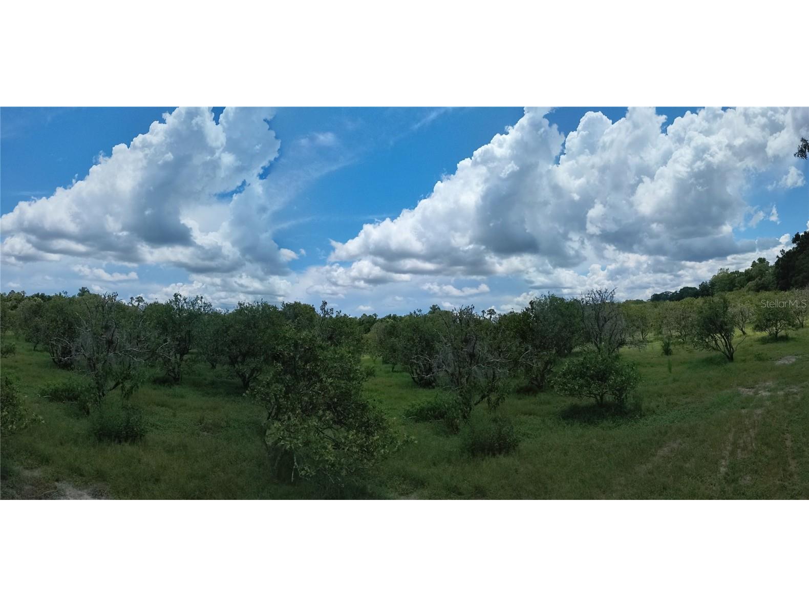 No Street De Leon Springs FL 32130 V4943422 image13