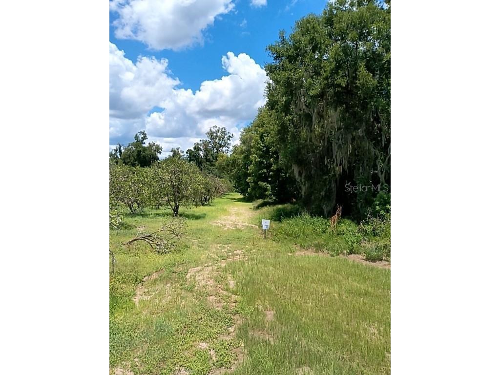 No Street De Leon Springs FL 32130 V4943422 image14