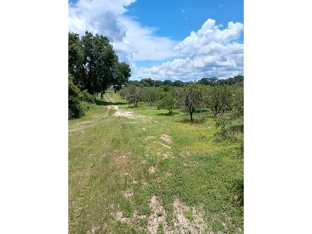 No Street De Leon Springs FL 32130 V4943422 image15