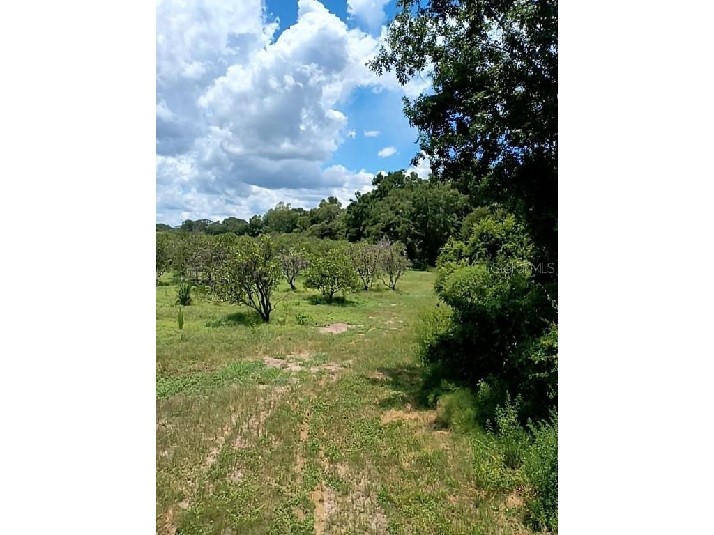 No Street De Leon Springs FL 32130 V4943422 image16