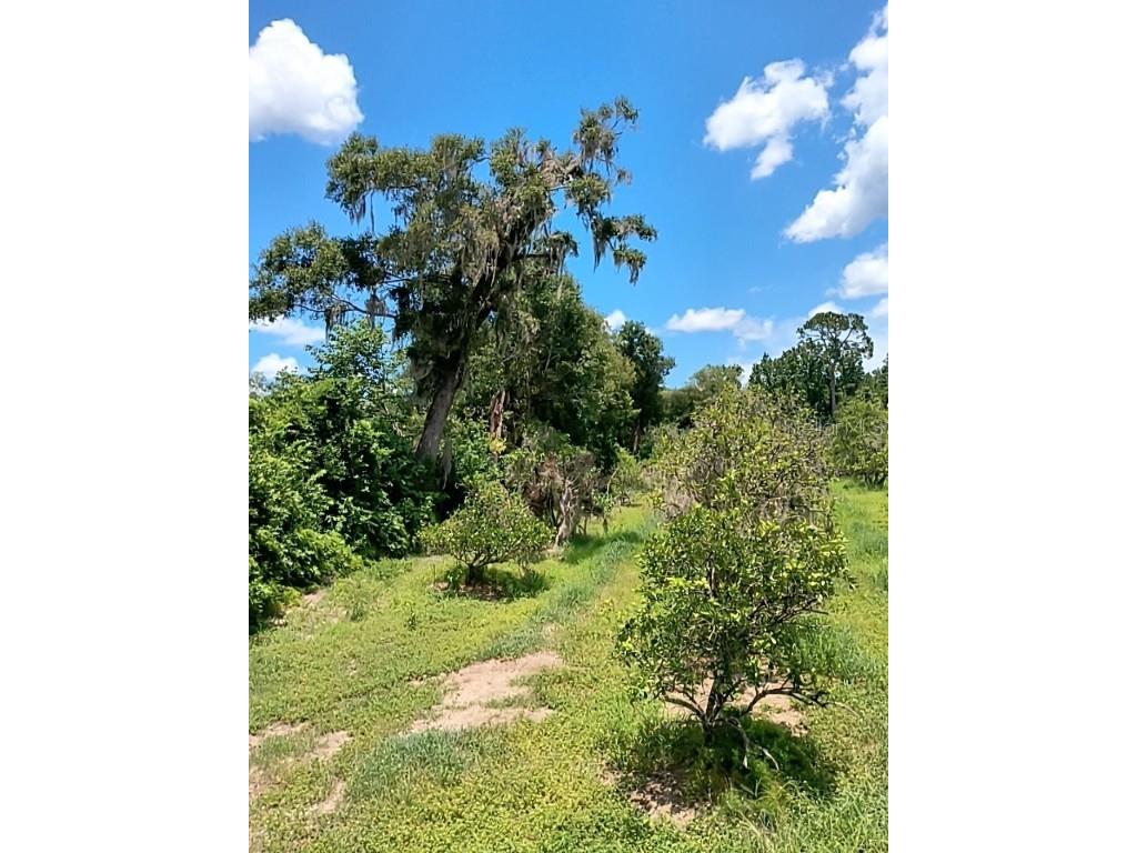 No Street De Leon Springs FL 32130 V4943422 image17