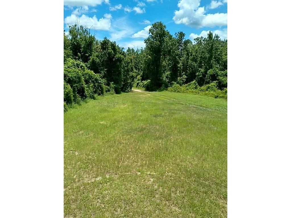 No Street De Leon Springs FL 32130 V4943422 image22