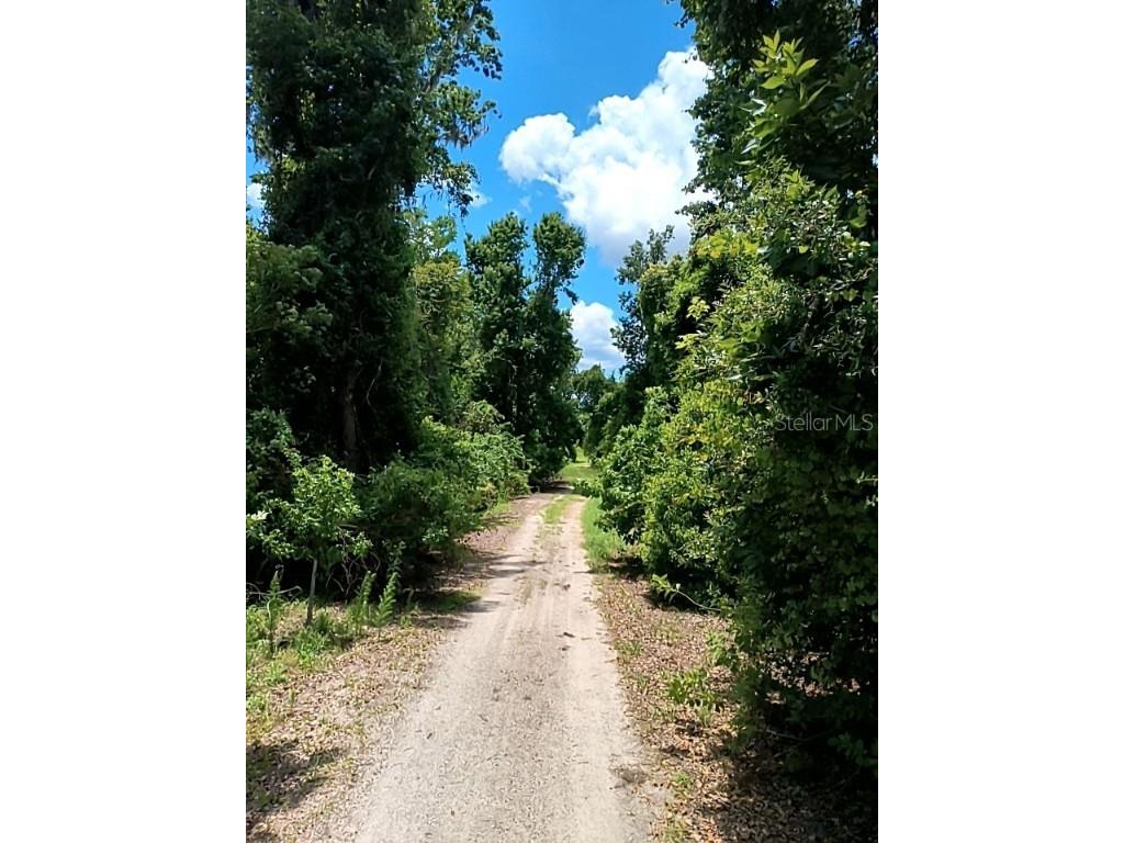 No Street De Leon Springs FL 32130 V4943422 image23