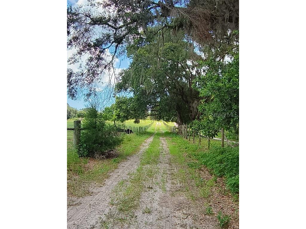 No Street De Leon Springs FL 32130 V4943422 image24