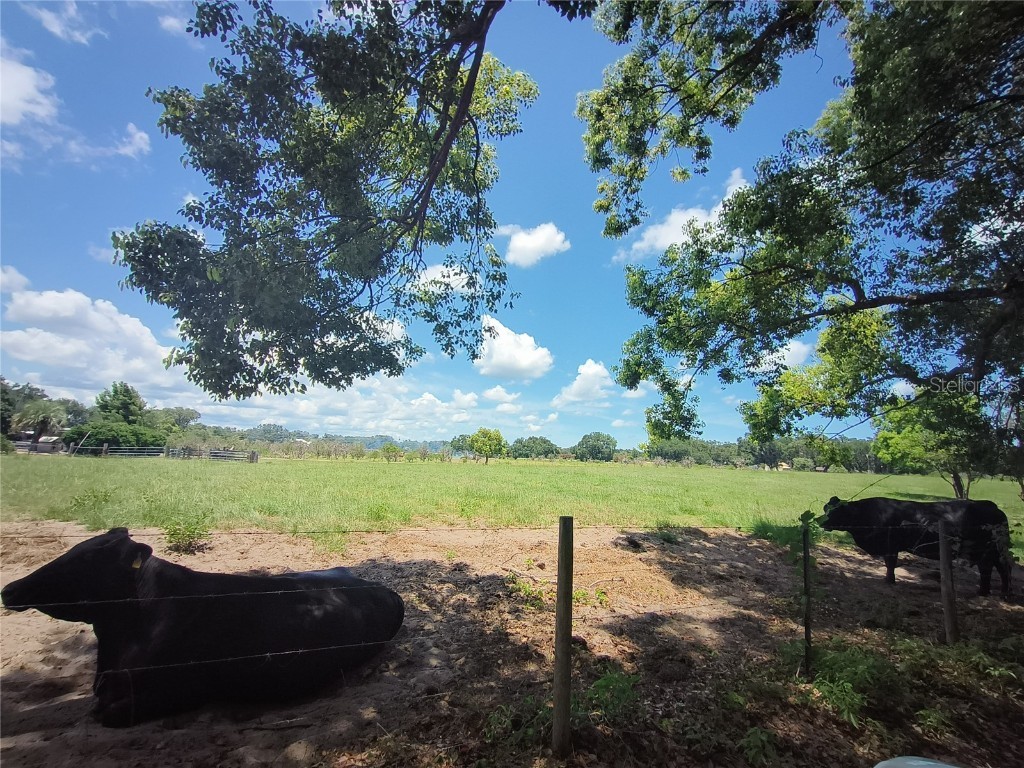 No Street De Leon Springs FL 32130 V4943422 image26