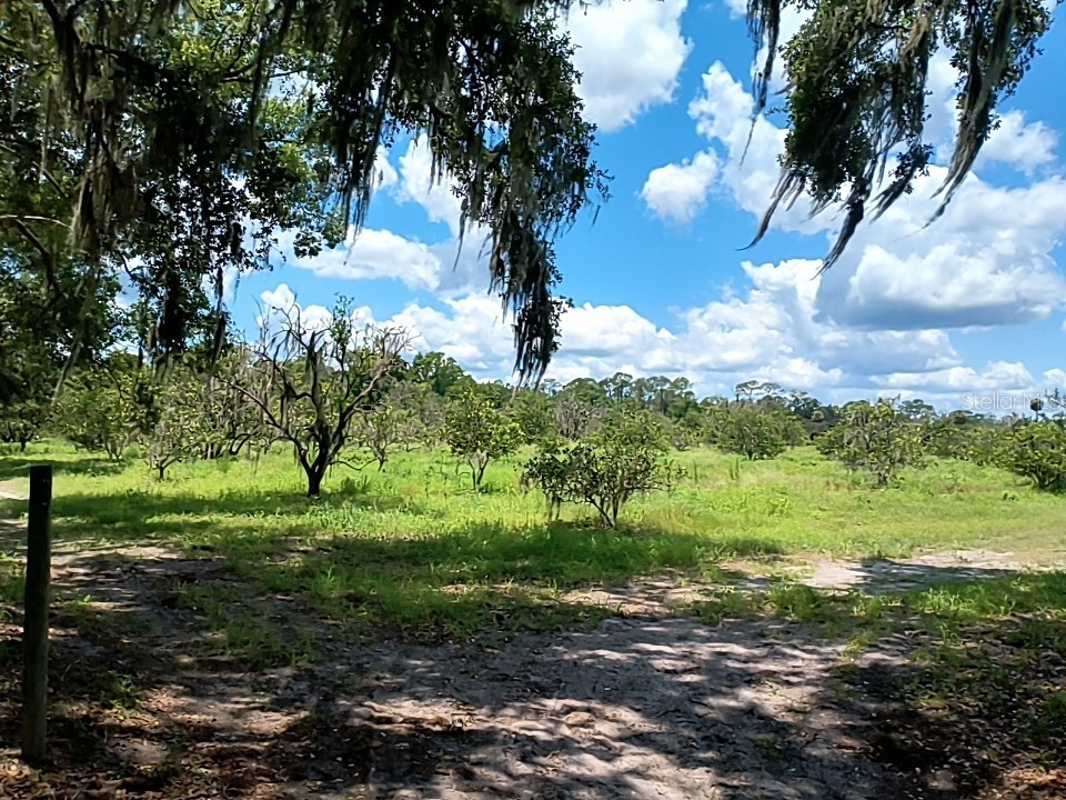 No Street De Leon Springs FL 32130 V4943422 image5