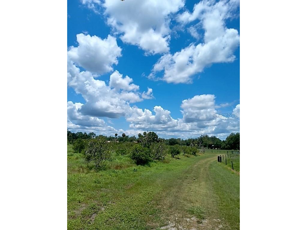 No Street De Leon Springs FL 32130 V4943422 image6