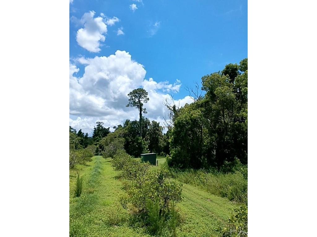 No Street De Leon Springs FL 32130 V4943422 image9