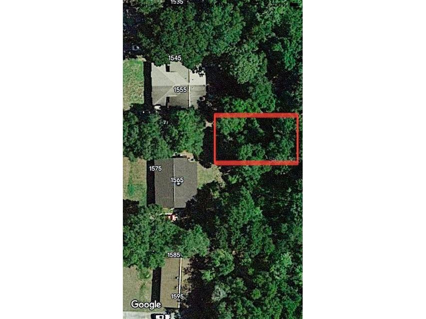 No Street Deland FL 32720 V4933386 image3