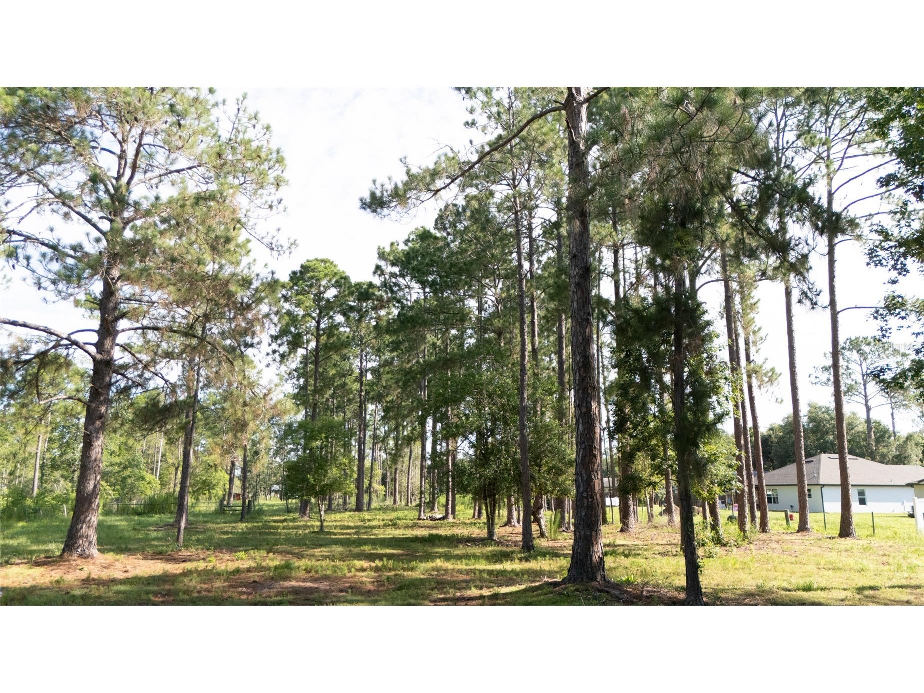 No Street Deland FL 32720 V4949810 image3