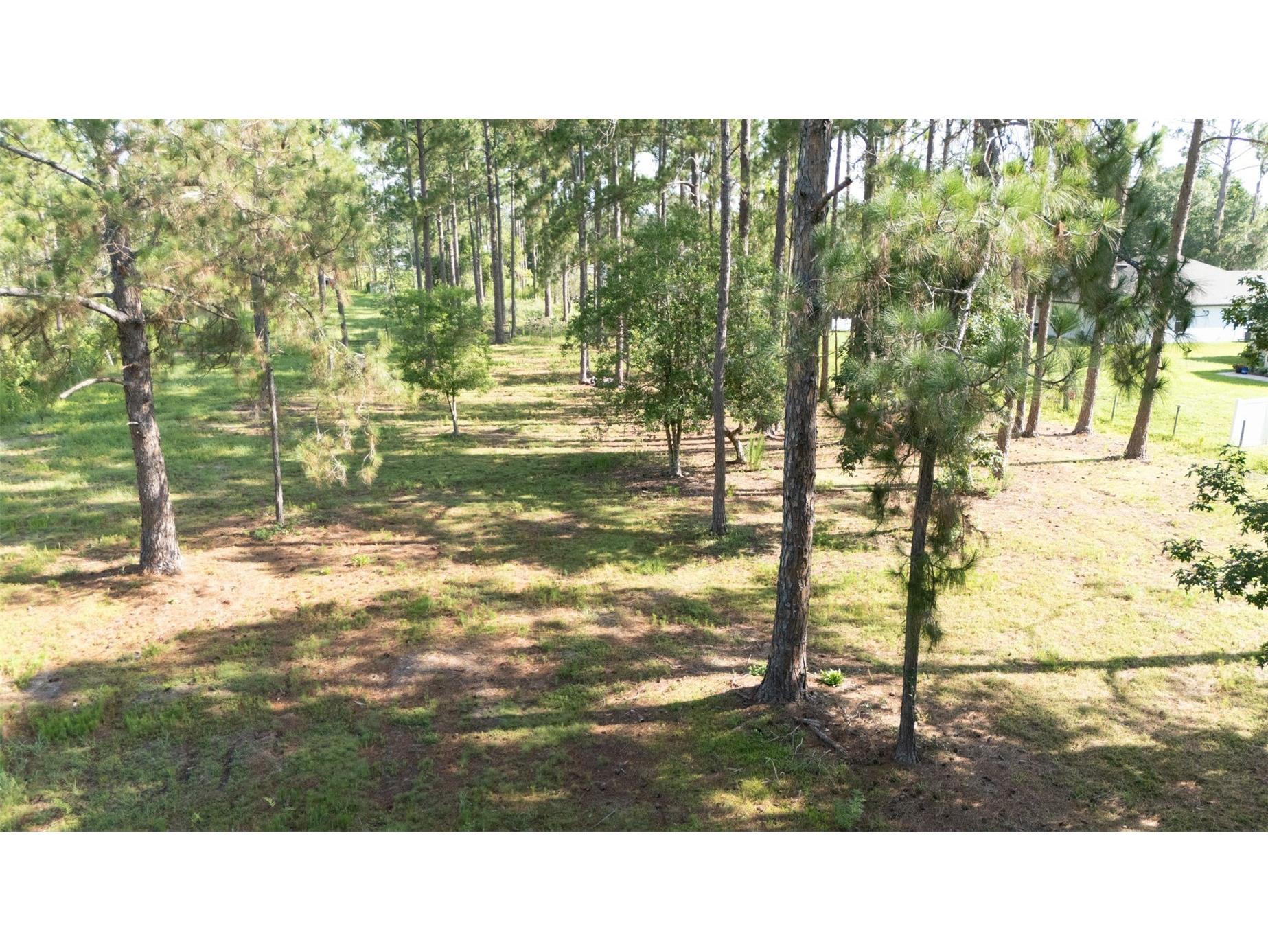 No Street Deland FL 32720 V4949810 image4
