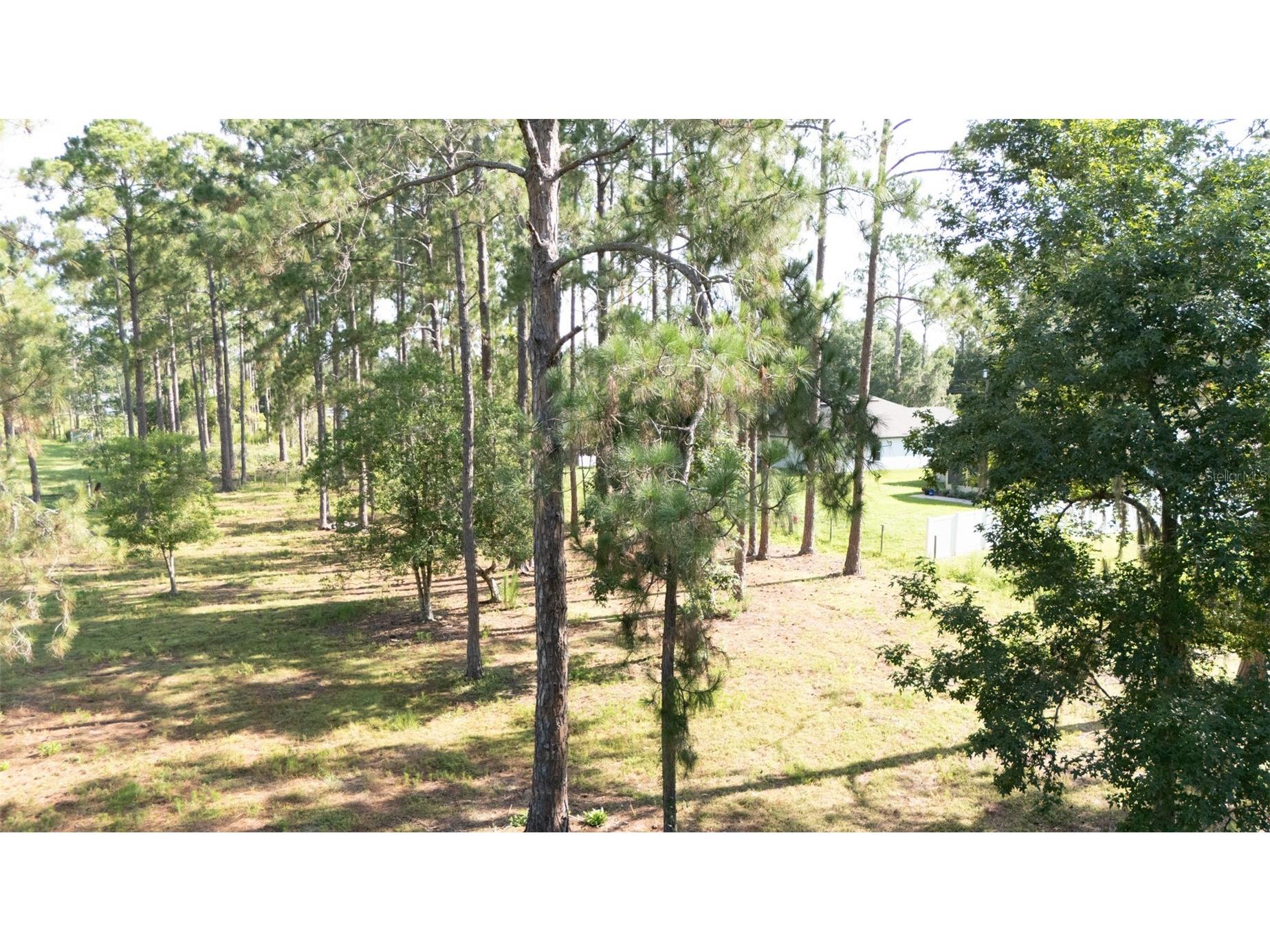 No Street Deland FL 32720 V4949810 image5