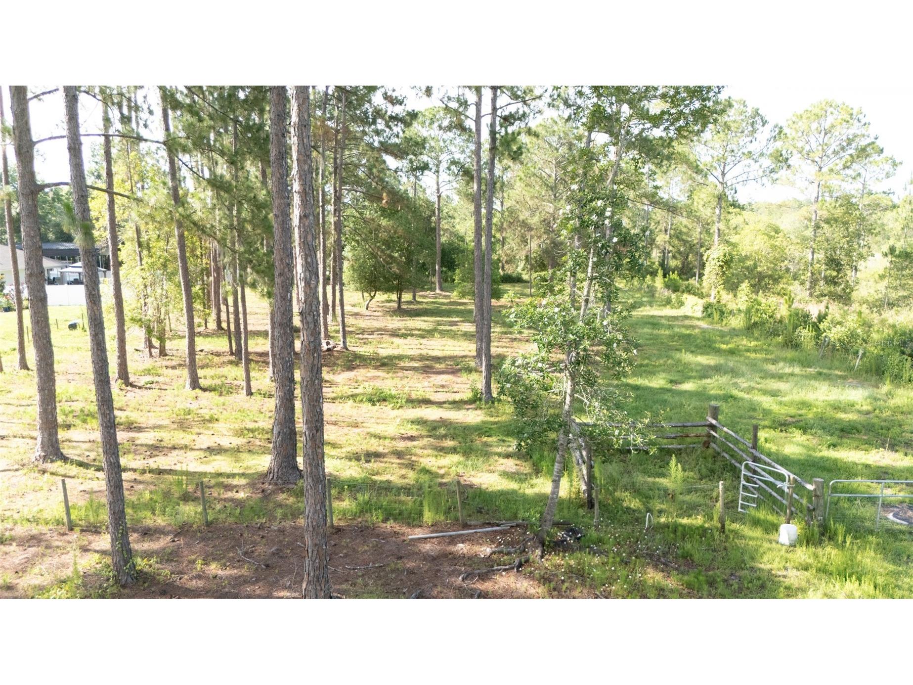 No Street Deland FL 32720 V4949810 image6