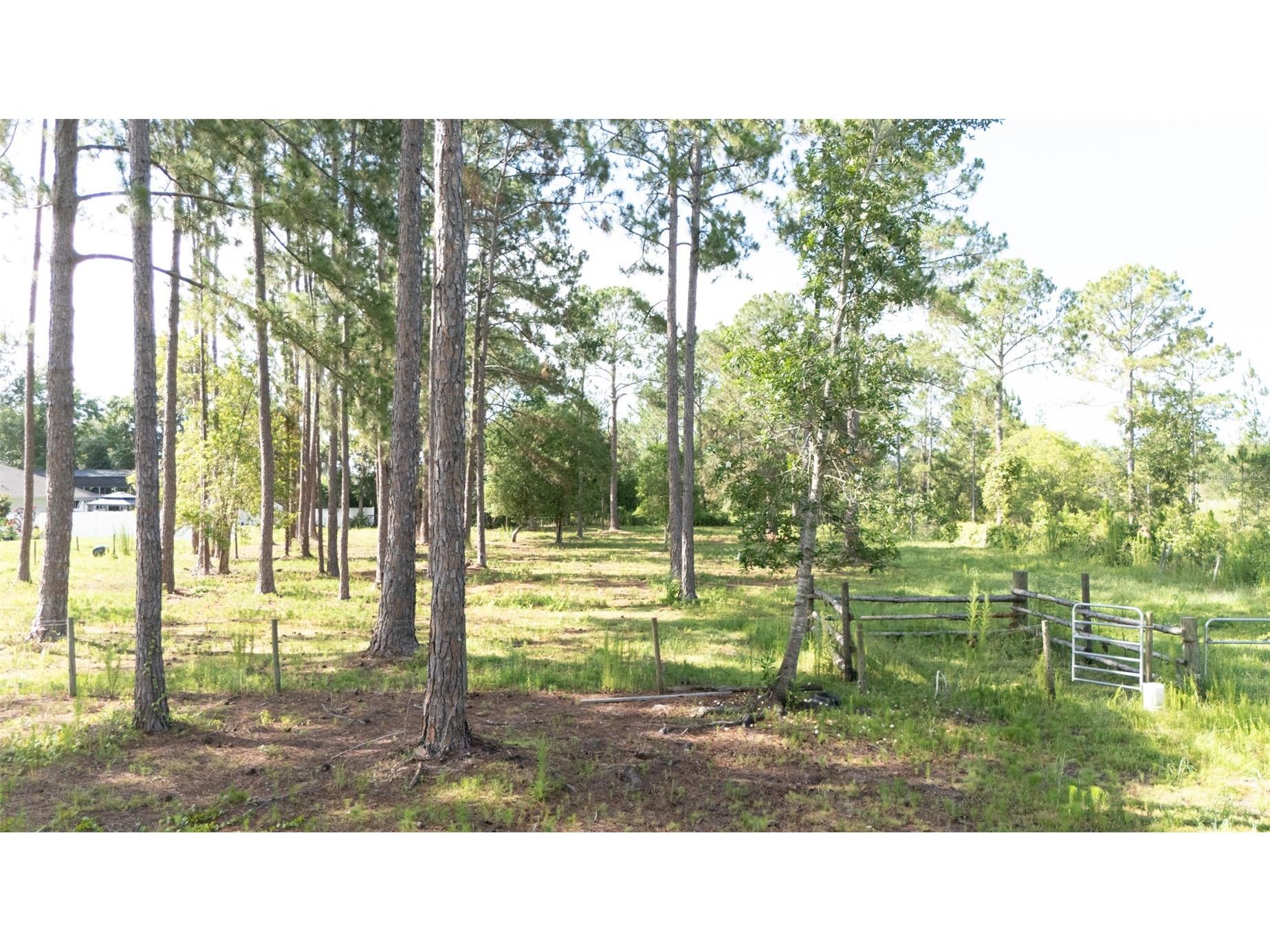 No Street Deland FL 32720 V4949810 image7
