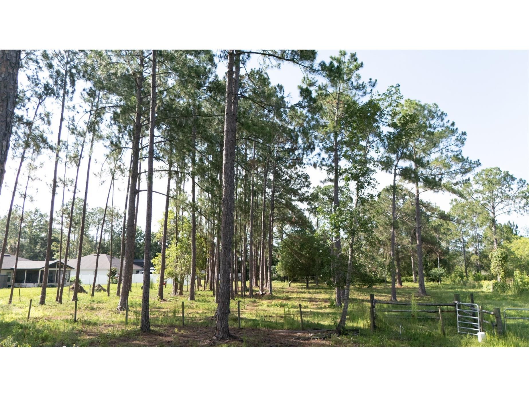 No Street Deland FL 32720 V4949810 image8