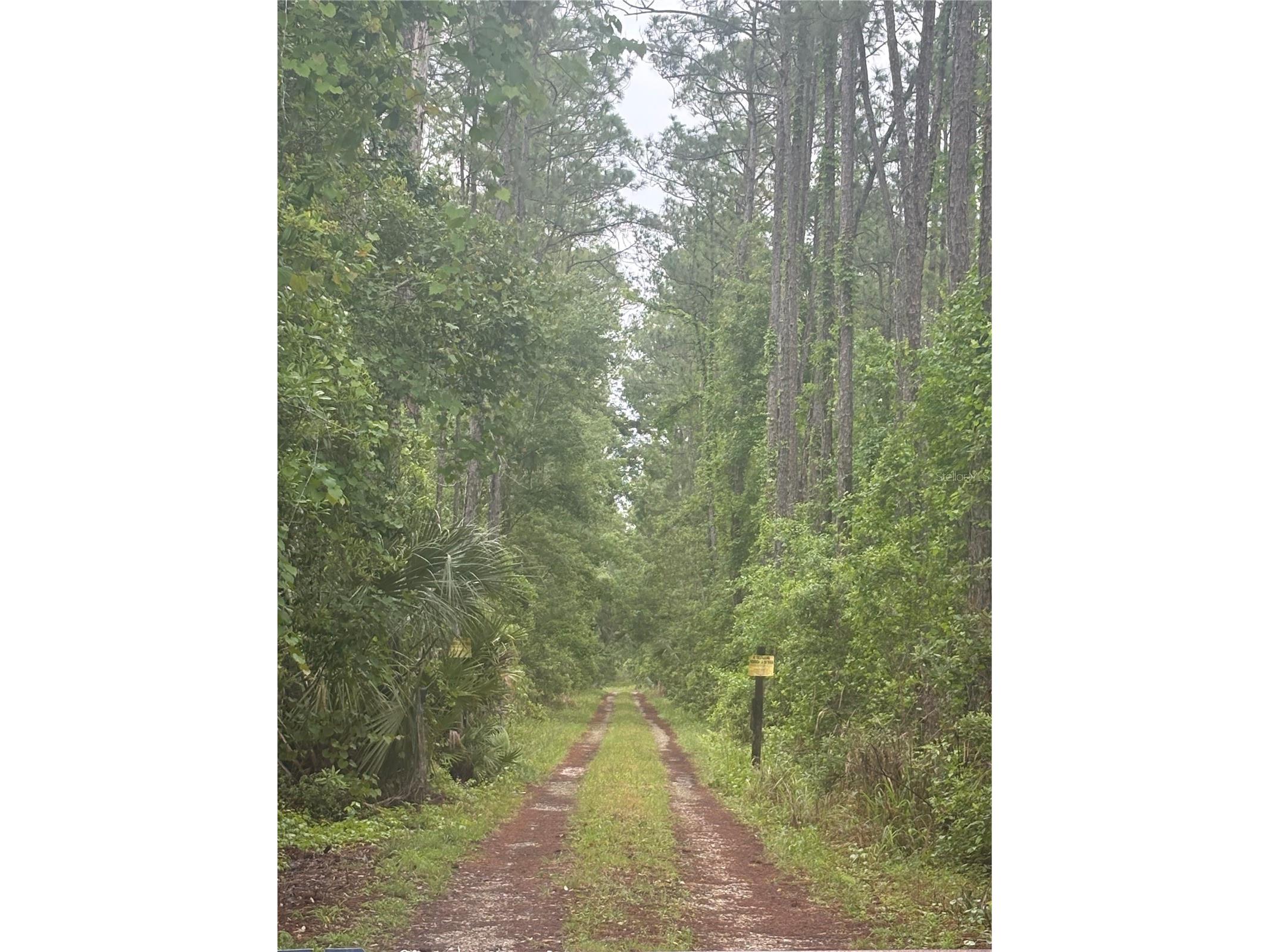 No Street Deland FL 32724 O6396833 image1