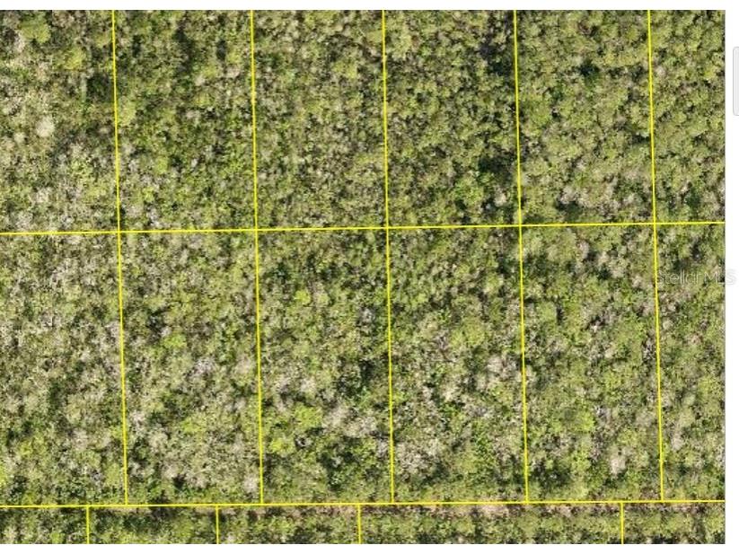 Pid 710801150230 No Street Deland FL 32724 O6398358 image1