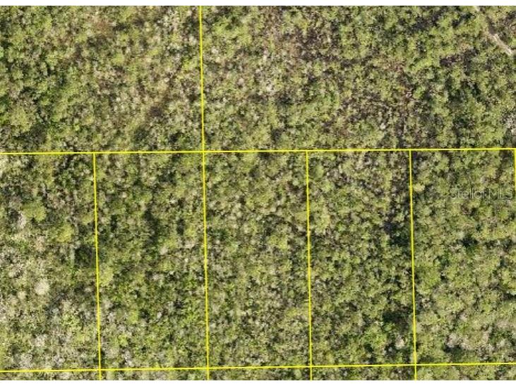 Pid 710801150090 No Street Deland FL 32724 O6398363 image1