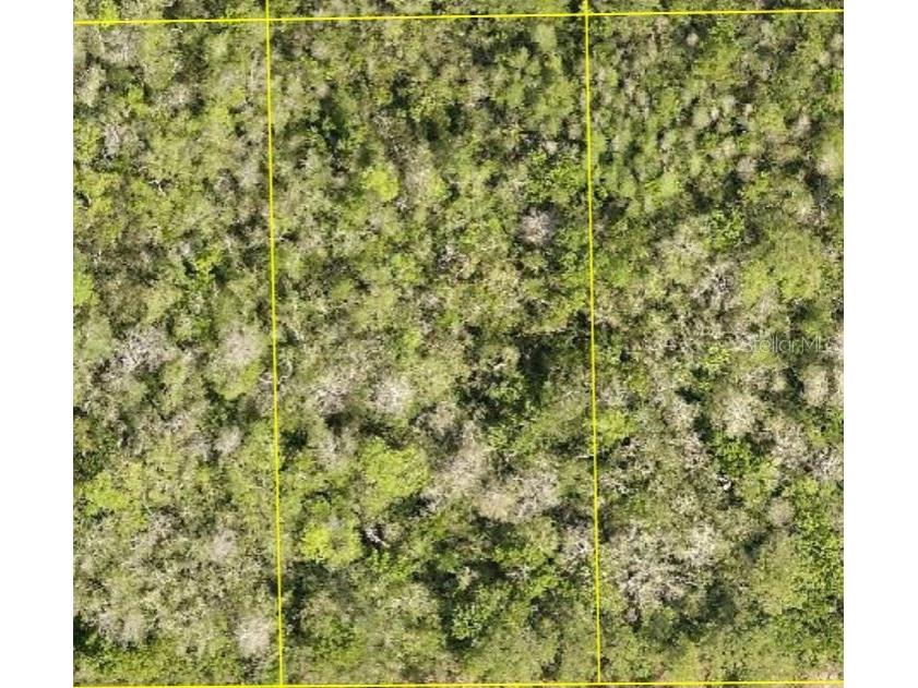 Pid 710801150220 No Street Deland FL 32724 O6398387 image1