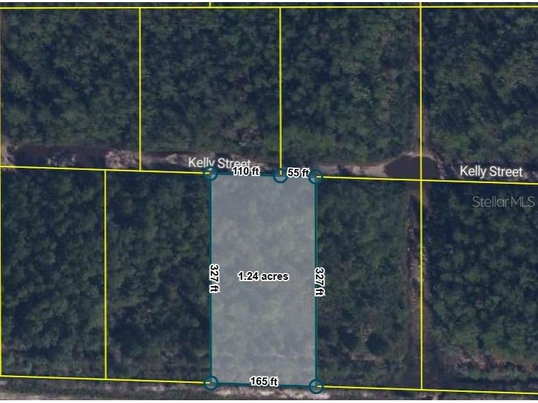 Pid 21-10-28-2775-00040-0157 No Street Hastings FL 32145 O6397957 image1