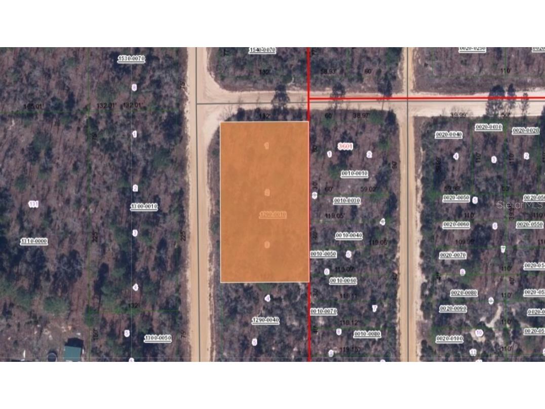 No Street Interlachen FL 32148 V4930483 image1