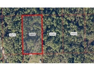 No Street New Smyrna Beach FL 32168 V4917246 image1