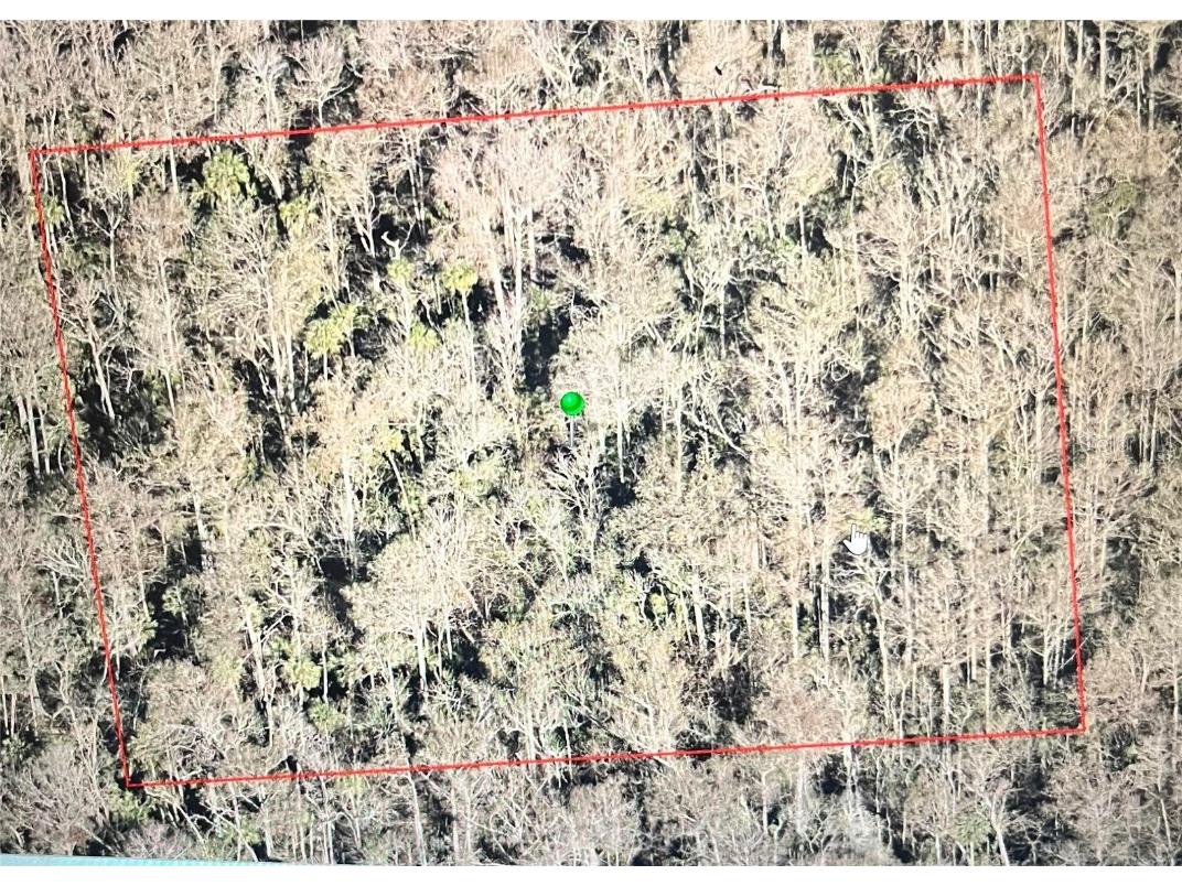 No Street Oak Hill FL 32759 V4929925 image1