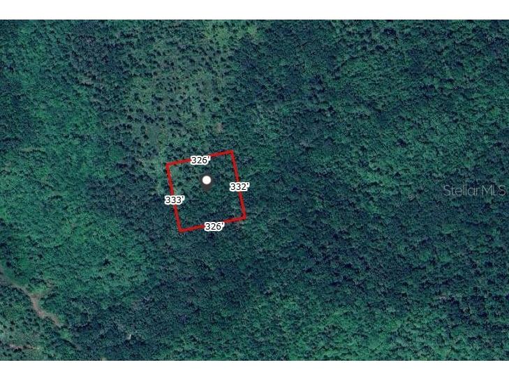 No Street Oak Hill FL 32759 V4945850 image1