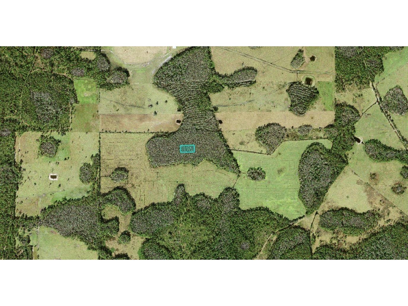 No Street Polk City FL 33868 O6415877 image2