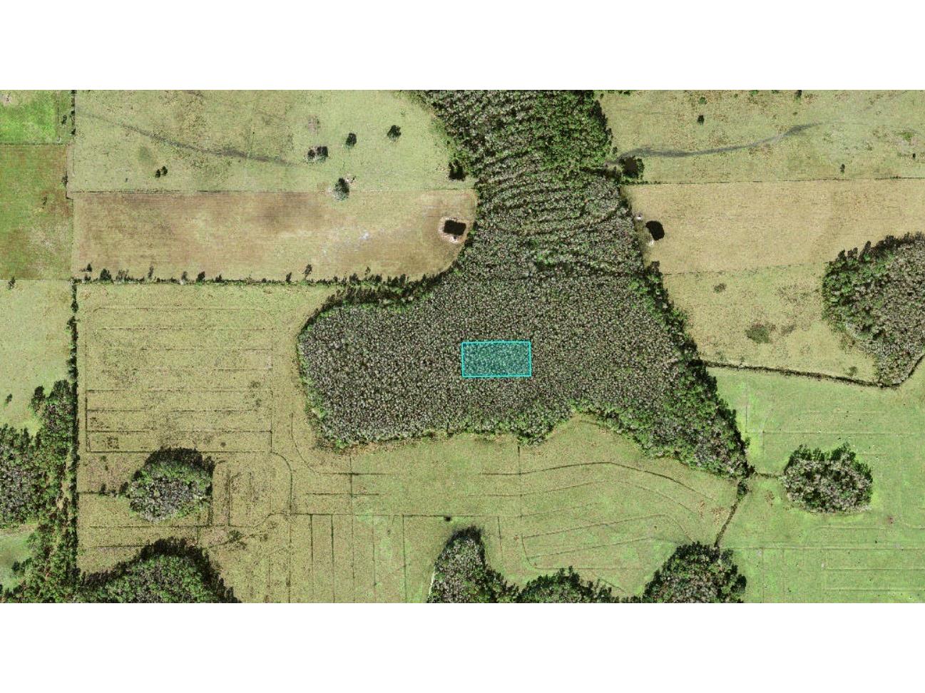 No Street Polk City FL 33868 O6415877 image3