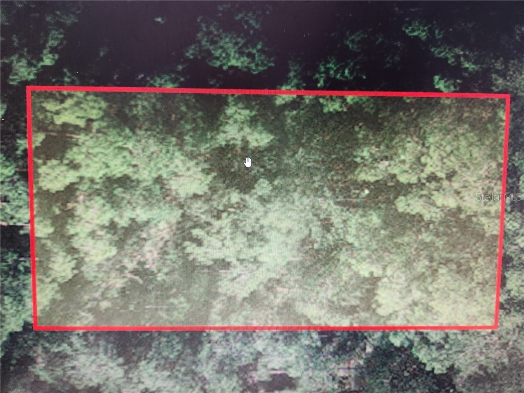 No Street Saint Cloud FL 34771 S5100013 image1