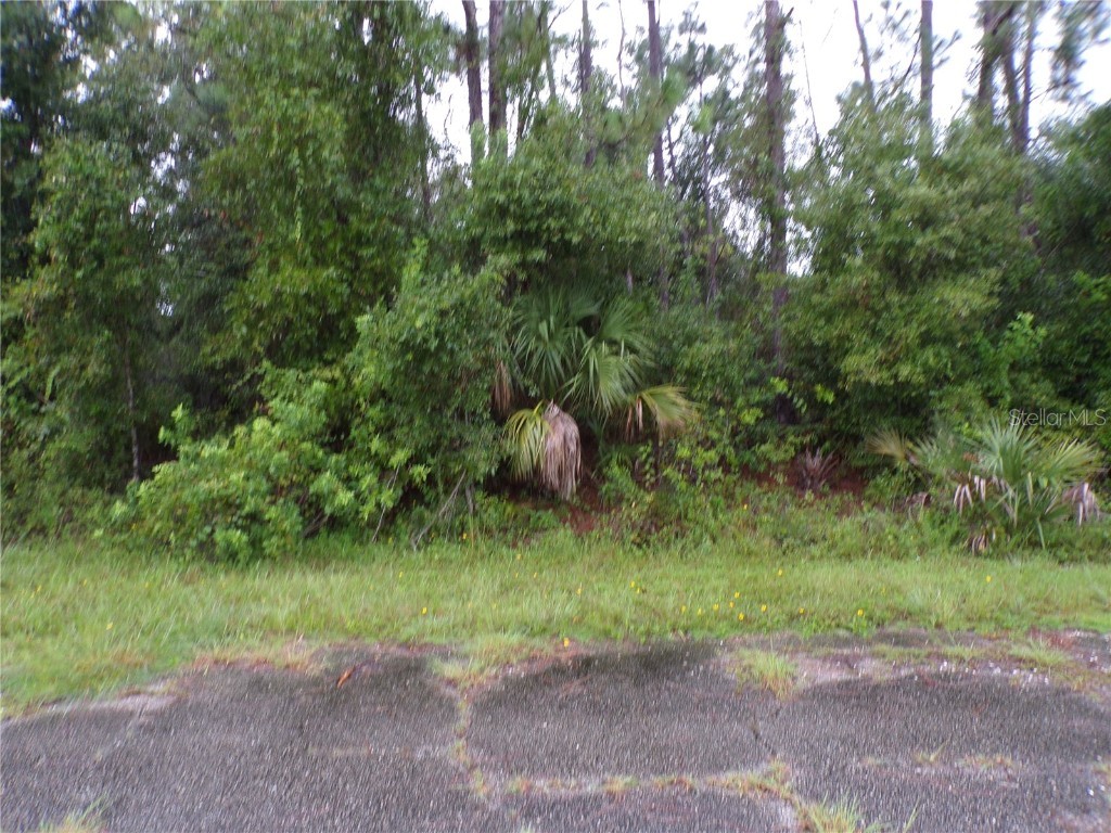 Nocturn Street North Port FL 34288 C7514784 image1