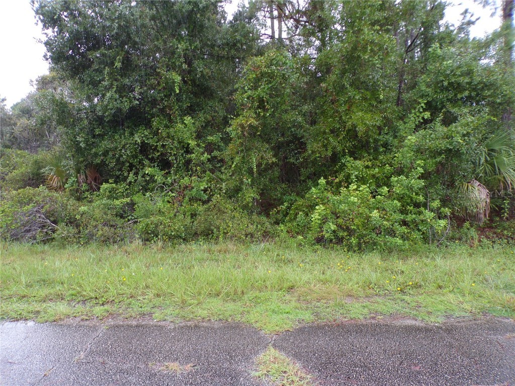 Nocturn Street North Port FL 34288 C7514784 image2