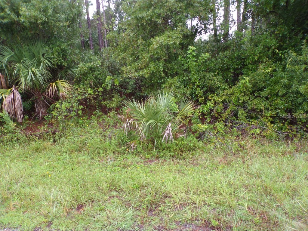 Nocturn Street North Port FL 34288 C7514784 image5