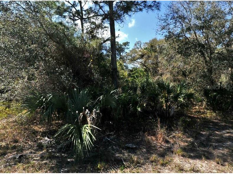 Nome Avenue North Port FL 34288 O6184324 image2